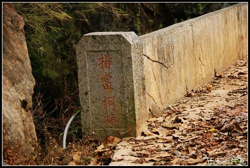 樊村峡谷行——记“走遍正安”活动第十三期插图66
