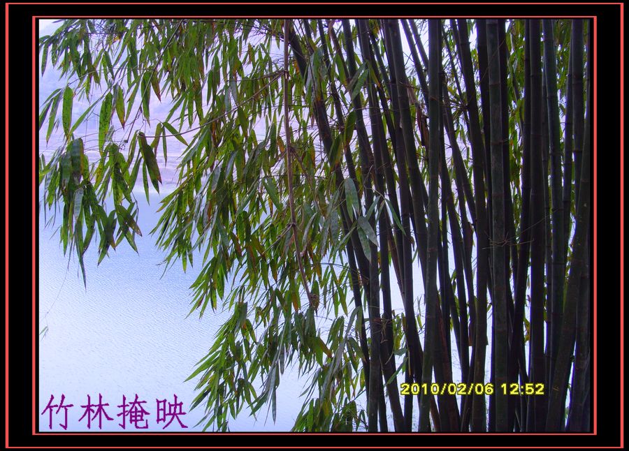 冬到樊村插图10
