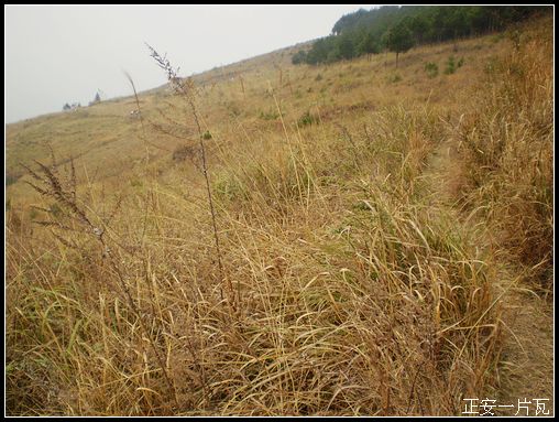 重走偏岩——记“走遍正安”活动第十五期插图45