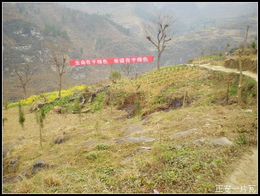 重走偏岩——记“走遍正安”活动第十五期插图1