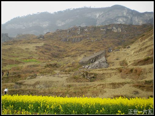 重走偏岩——记“走遍正安”活动第十五期插图38