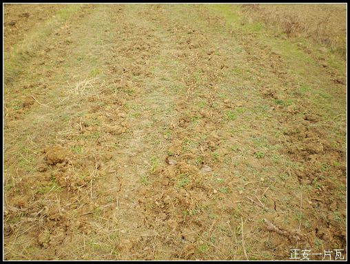 重走偏岩——记“走遍正安”活动第十五期插图43