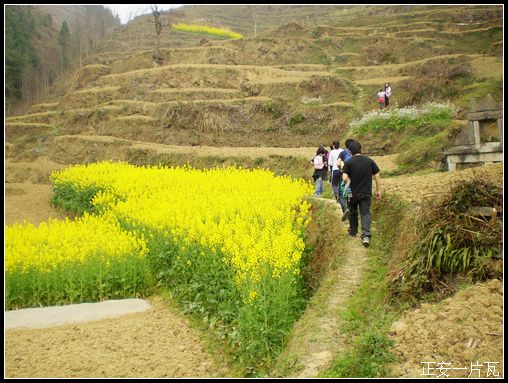 重走偏岩——记“走遍正安”活动第十五期插图24