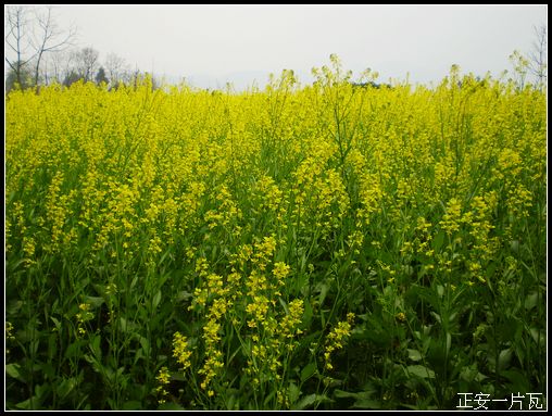 重走偏岩——记“走遍正安”活动第十五期插图21