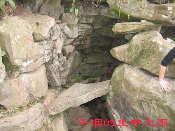 图说314户外活动插图1