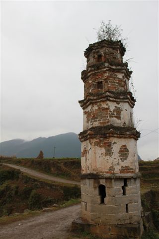 正安中观镇杨柳溪水库破土动工插图7