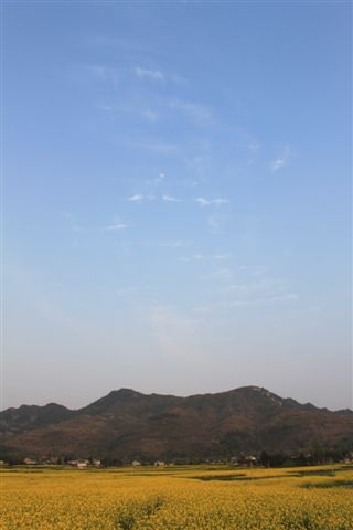 正安中观镇杨柳溪水库破土动工插图14