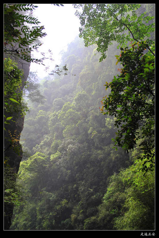 二道河：层林尽染3.jpg