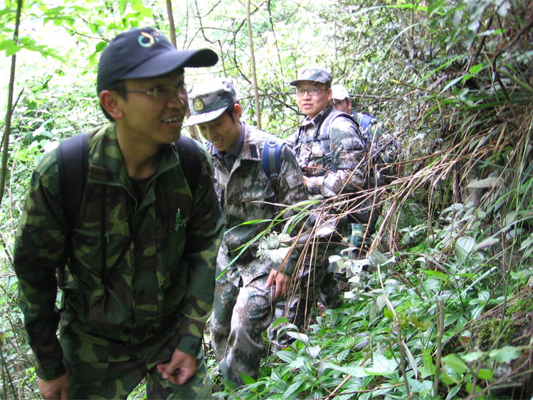 真实版丛林奇兵插图2