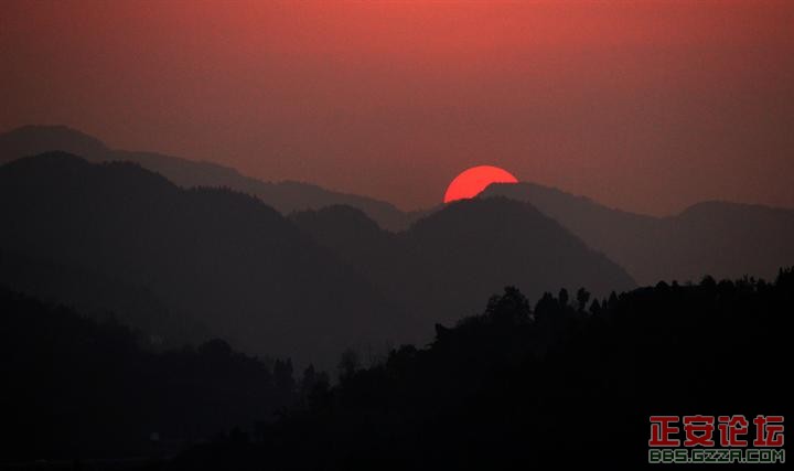 盛夏回故乡偶尔拍摄插图15