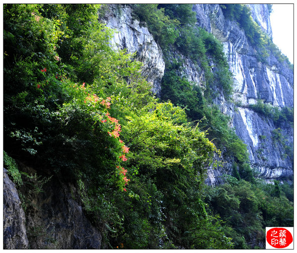 险，奇，峻，秀——白水渠插图5