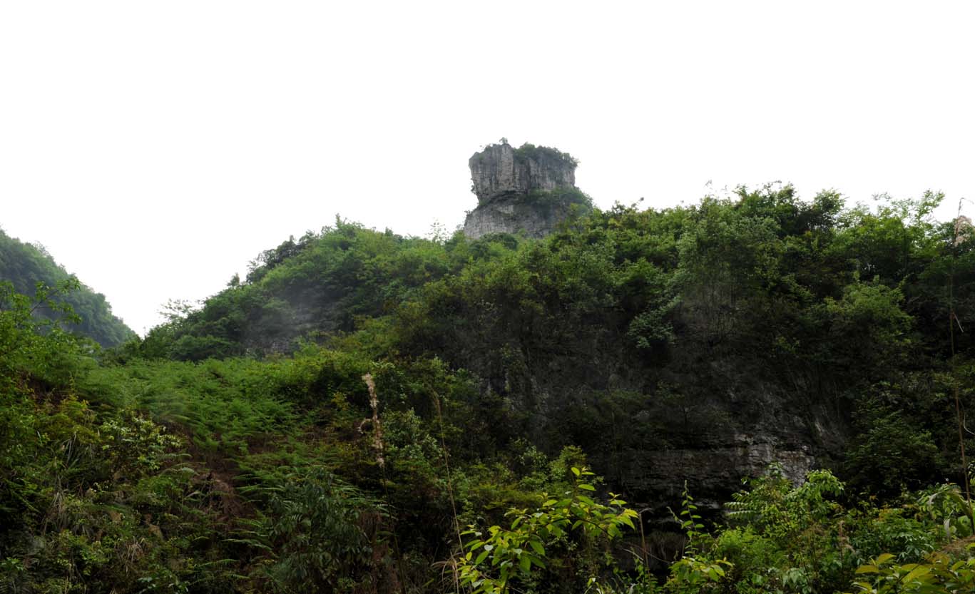 麻湾洞峡谷——记走遍正安第二十四期插图3