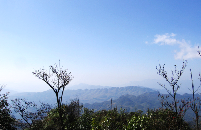 顶箐山风景独好，务本堂神韵依然——走遍正安活动第二十一期纪行插图98