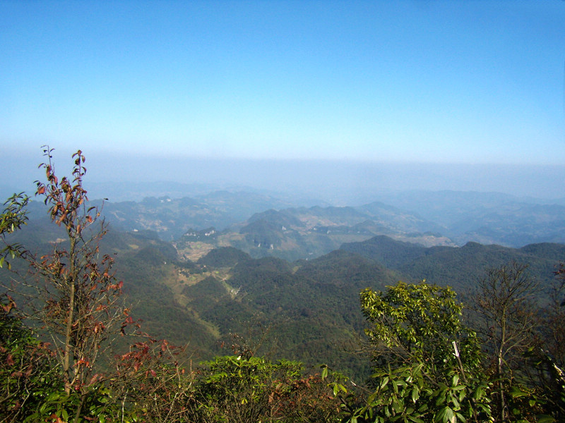 顶箐山风景独好，务本堂神韵依然——走遍正安活动第二十一期纪行插图99