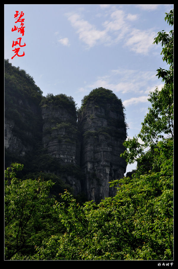 DSC_3069_conew1.JPG