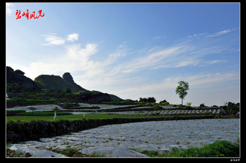 DSC_3138_conew1.JPG