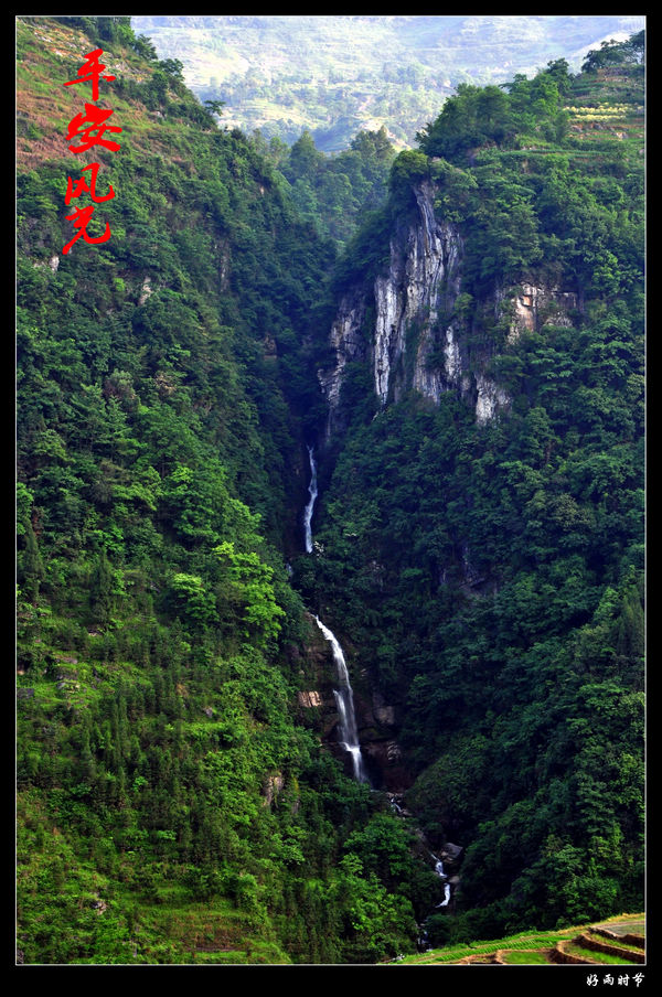 DSC_3164_conew1.JPG