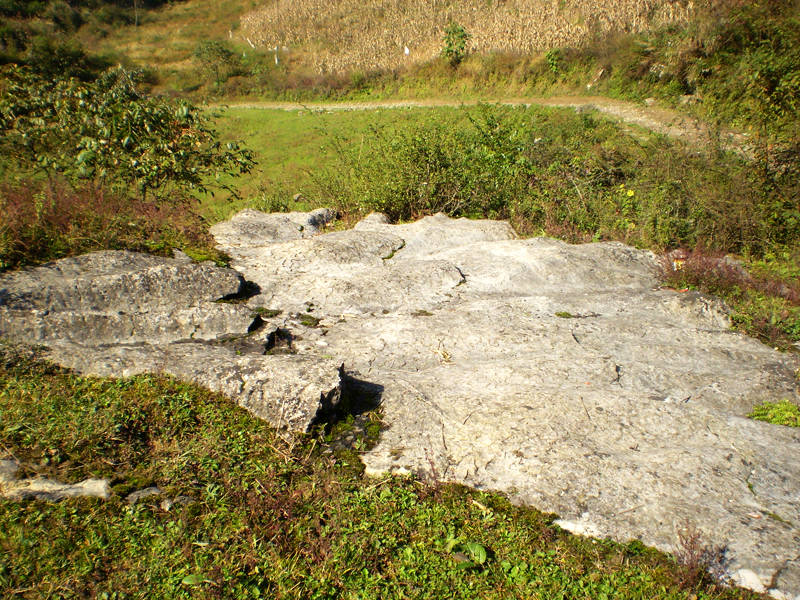 顶箐山风景独好，务本堂神韵依然——走遍正安活动第二十一期纪行插图25