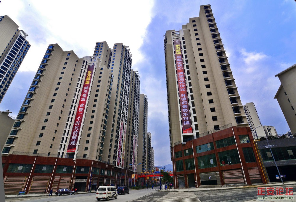 城市森林插图2