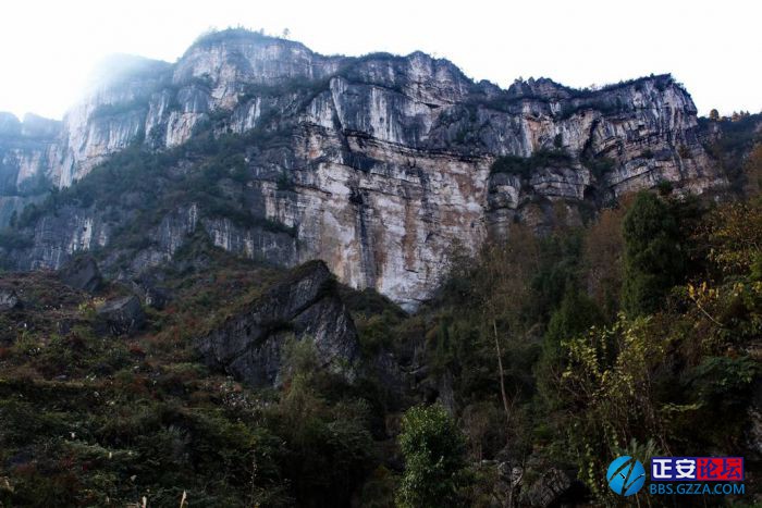 小雅镇东山村老林角喀斯特地貌小景插图8