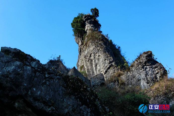 小雅镇东山村老林角喀斯特地貌小景插图6