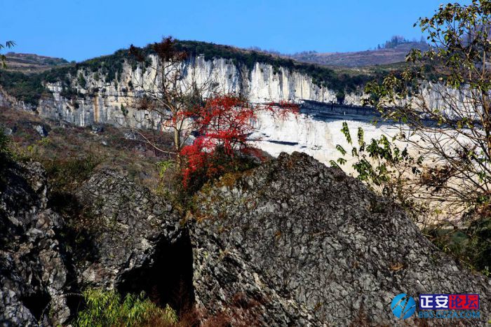 小雅镇东山村老林角喀斯特地貌小景插图5
