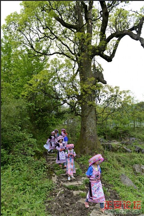 送文化，进苗乡插图17