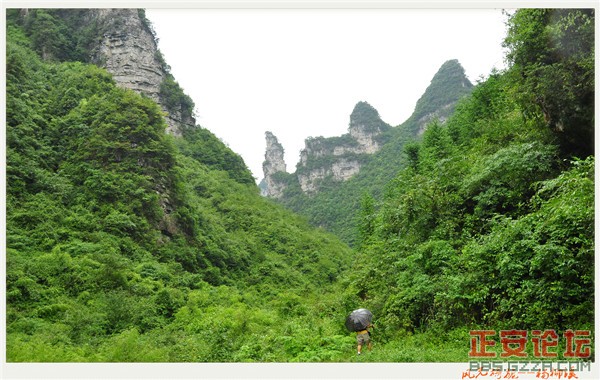 风光旖旎杨柳溪插图9