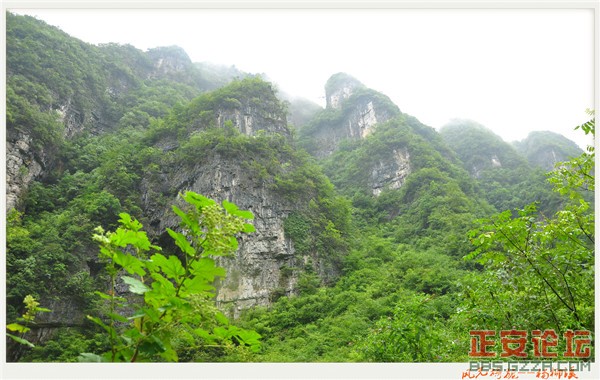 风光旖旎杨柳溪插图24