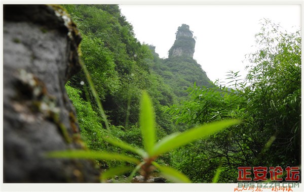 风光旖旎杨柳溪插图41