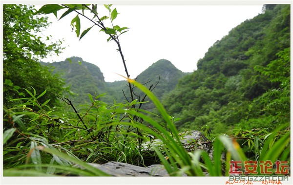 风光旖旎杨柳溪插图44