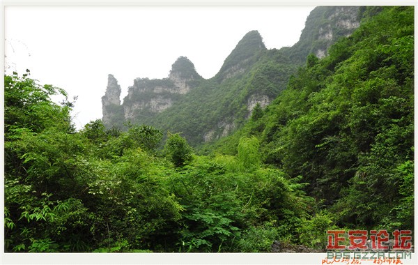 风光旖旎杨柳溪插图49