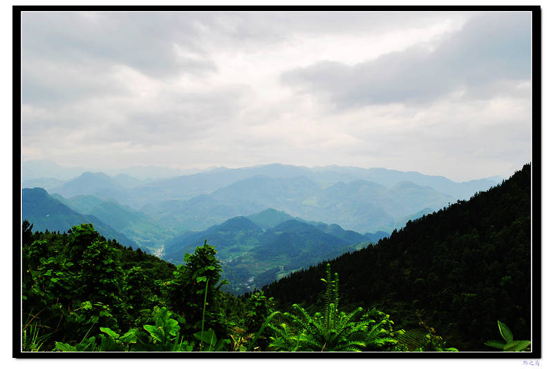 2010.6.19雨后风光007.jpg