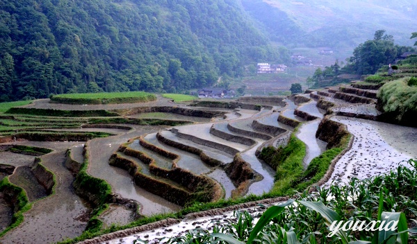 摄遍正安第N期——碧峰棒槌峰插图13
