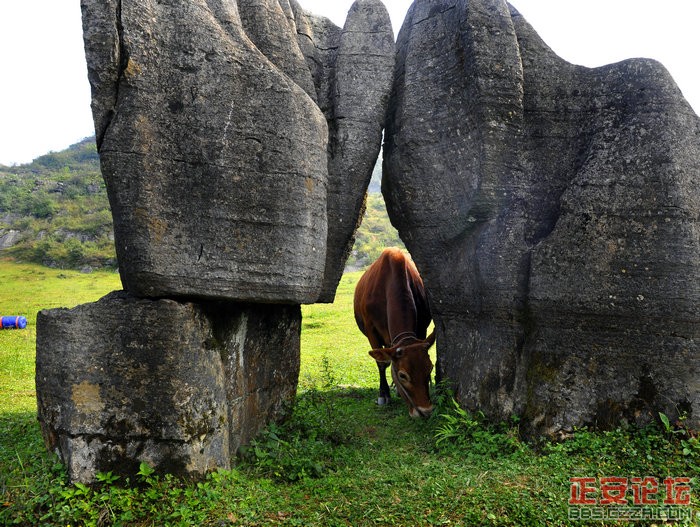 华尔山的山插图8