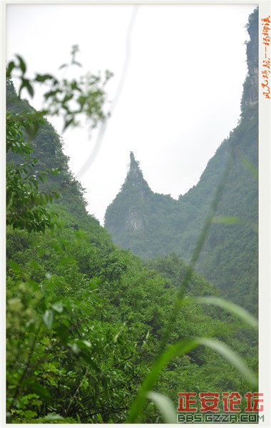 风光旖旎杨柳溪插图62