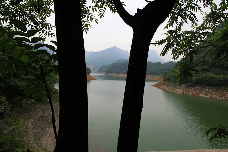 桴焉茶场，五汇水库风光插图6