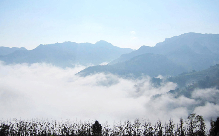 顶箐山风景独好，务本堂神韵依然——走遍正安活动第二十一期纪行插图8