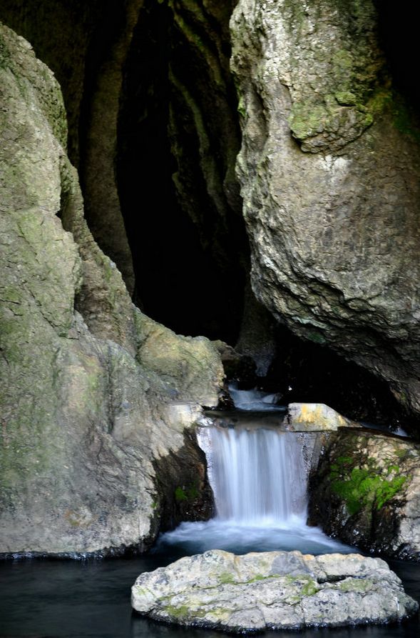 DSC_4195.JPG