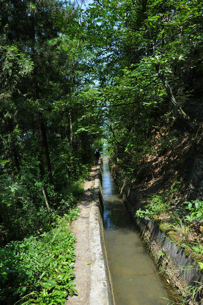 DSC_4265.JPG