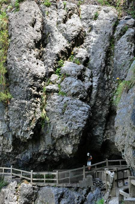 DSC_4307.JPG