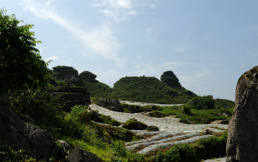 摄遍正安第N期——碧峰棒槌峰插图17