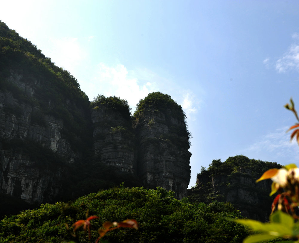 DSC_0424 拷贝_副本.jpg