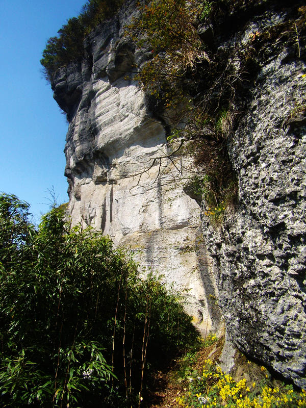 顶箐山风景独好，务本堂神韵依然——走遍正安活动第二十一期纪行插图72