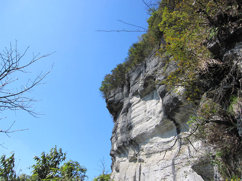 顶箐山风景独好，务本堂神韵依然——走遍正安活动第二十一期纪行插图74