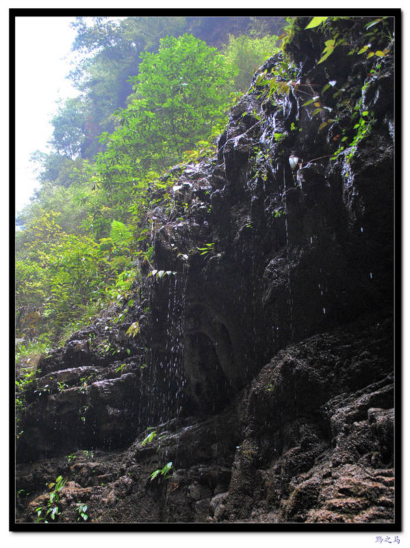 再次探秘二道河之风光美景4：水之舞10.jpg