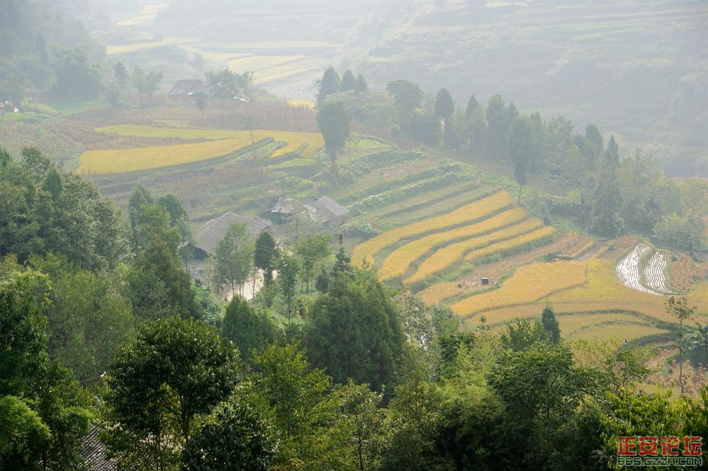 峡谷美景游不尽，故事传奇讲不完——庙塘河麻沟游记（走遍正安第二十六期 ）插图12