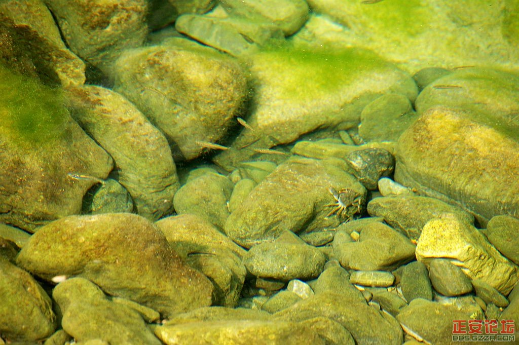 峡谷美景游不尽，故事传奇讲不完——庙塘河麻沟游记（走遍正安第二十六期 ）插图17