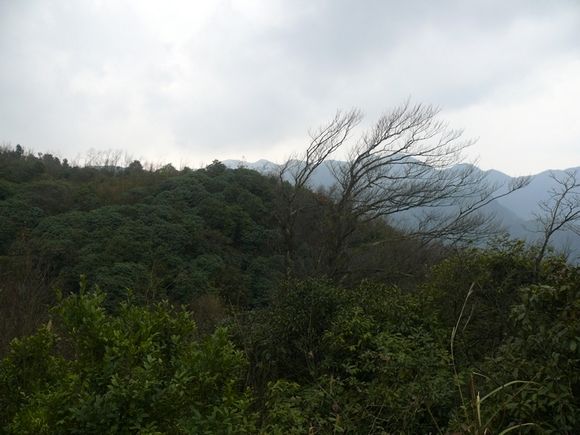 P1020121.JPG