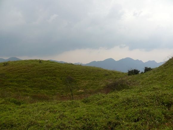 P1020125.JPG